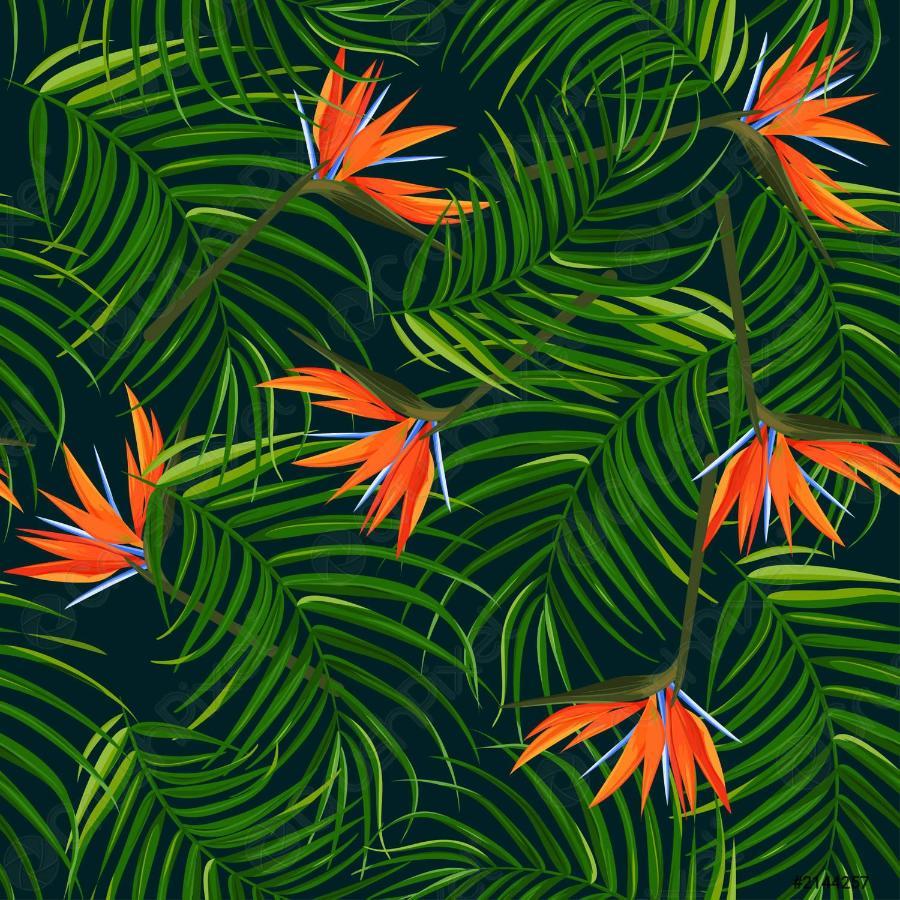 Tropical Palm Motel *