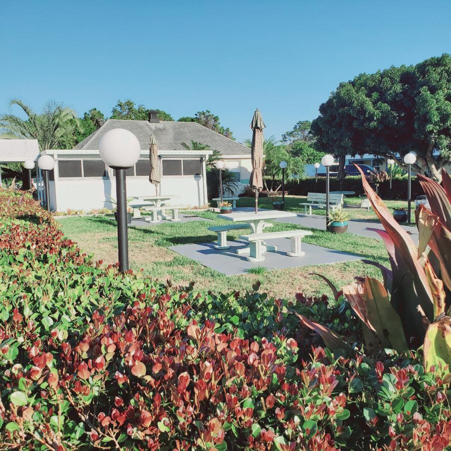 Motel Tropical Palm