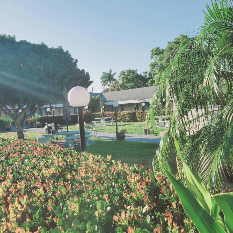 Tropical Palm *