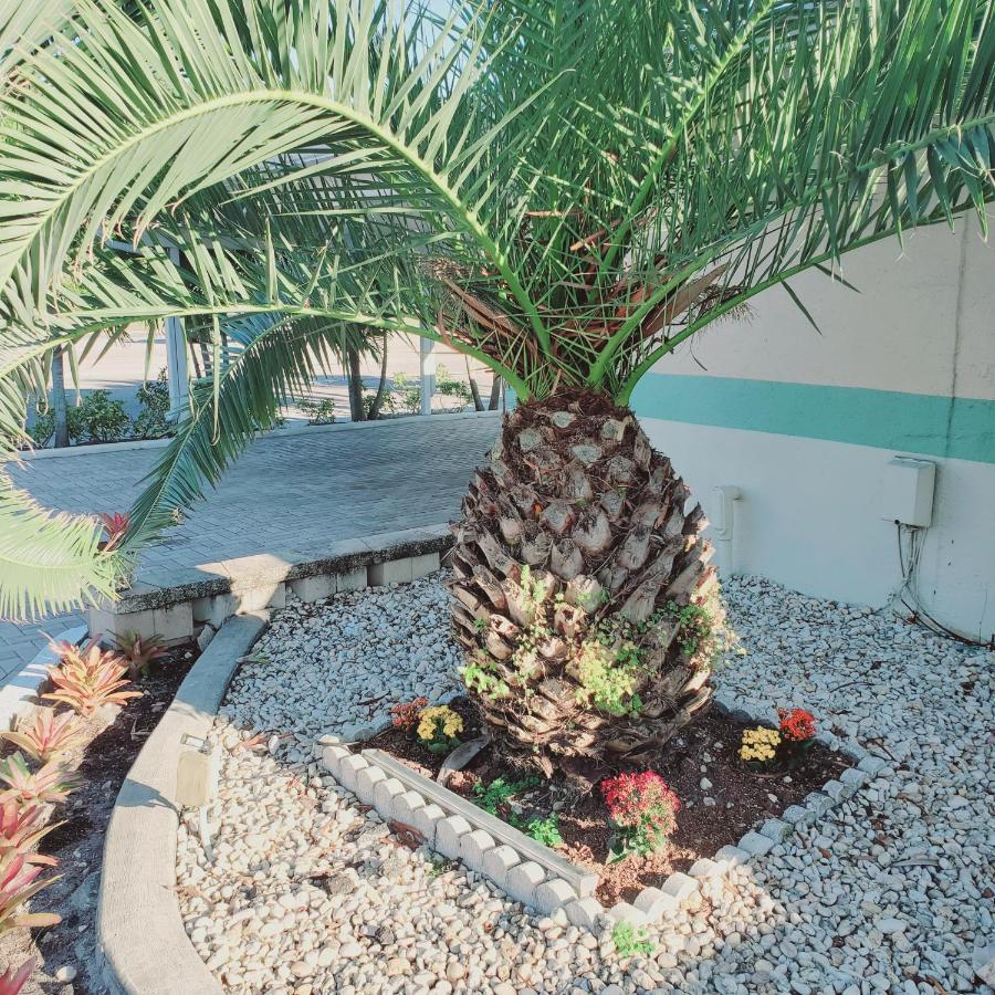 Tropical Palm Motel *